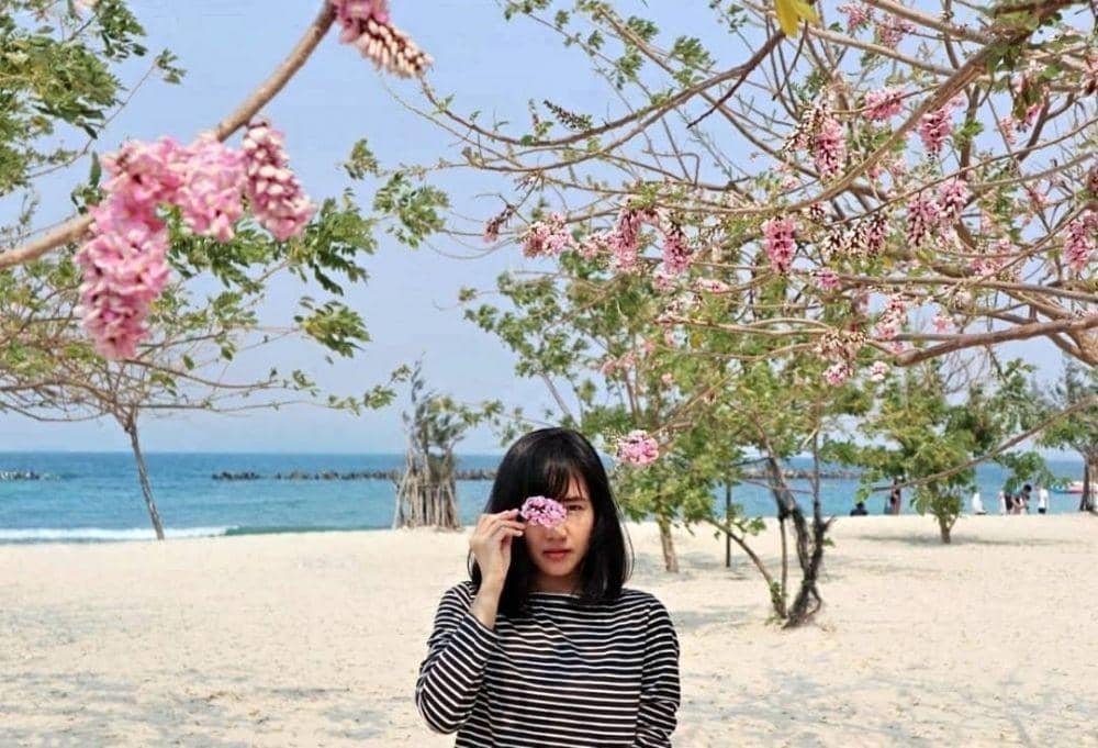 instagram.com/lianasofiani