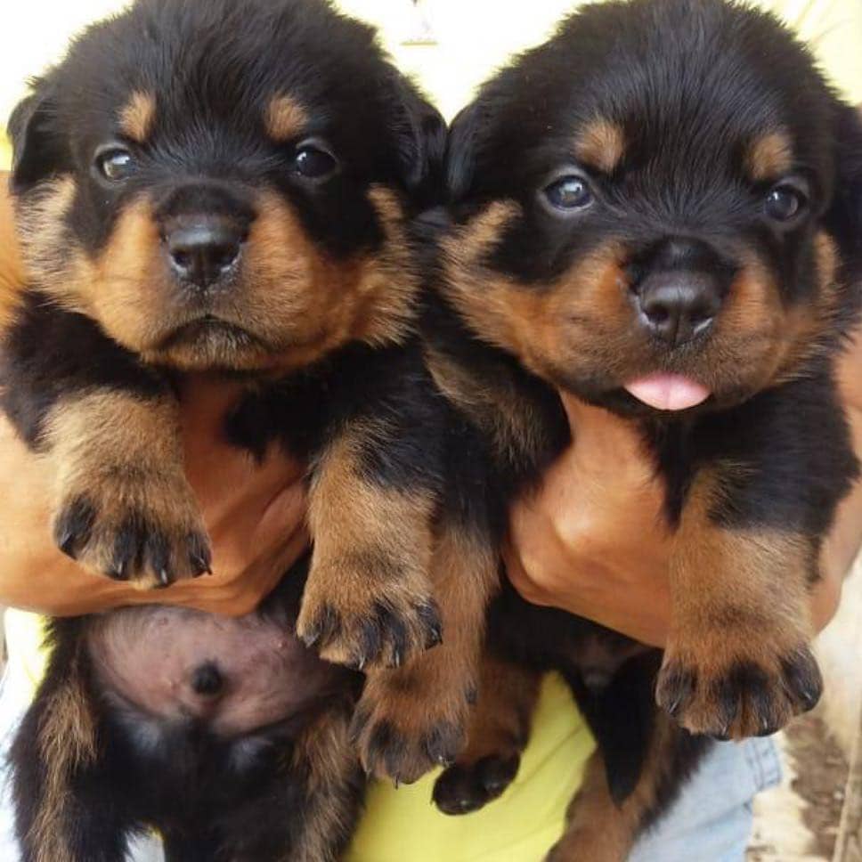 instagram.com/ms.bonniejoy