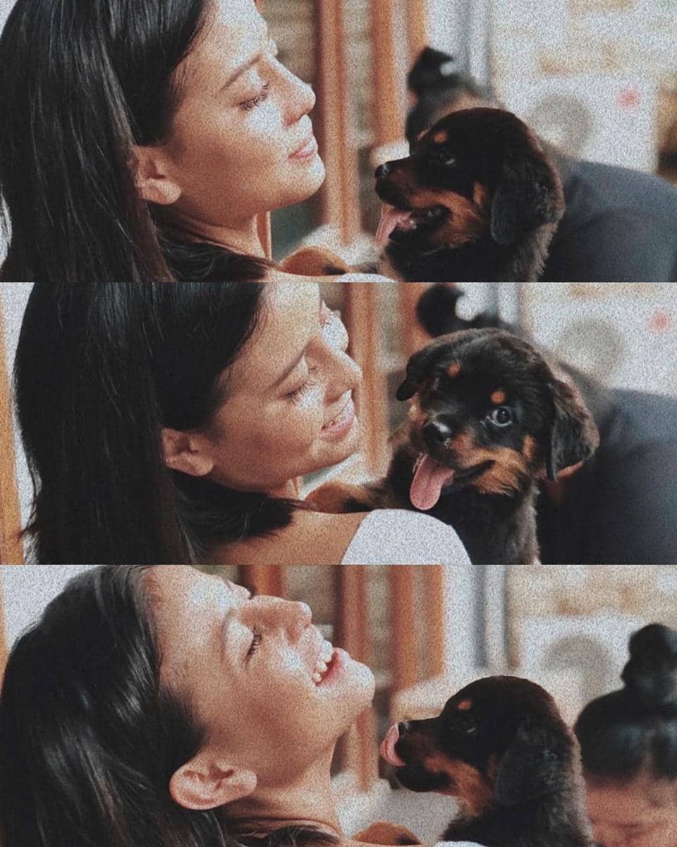 instagram.com/awkarin