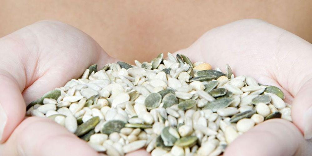 wholeheartedfoods.com