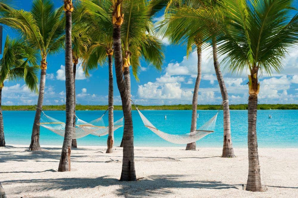 remax-realestategroup-tci.com