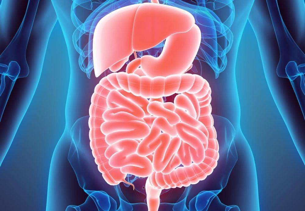valleyradiologync.com
