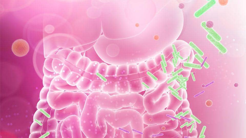 news.mayocliniclabs.com