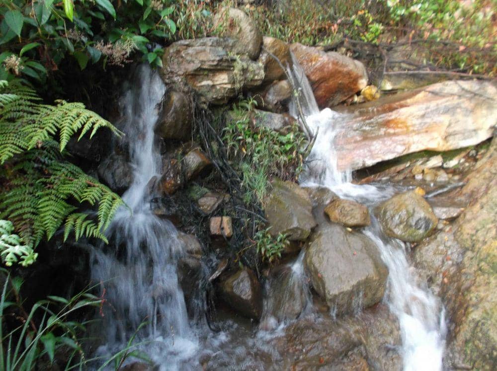 cibunus.blogspot.com