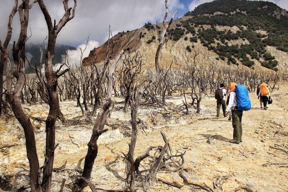 Dok. Pribadi/Intan Deviana