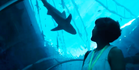 Singapore Tourism Board