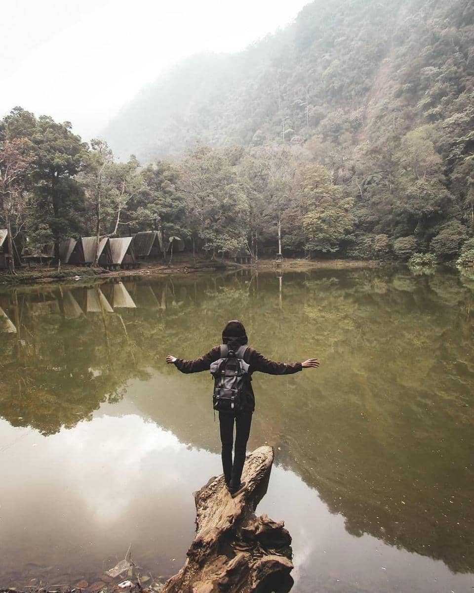 instagram.com/dandihrmwn_