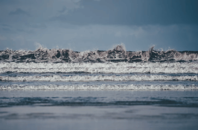 Unspalsh/Annie Spratt