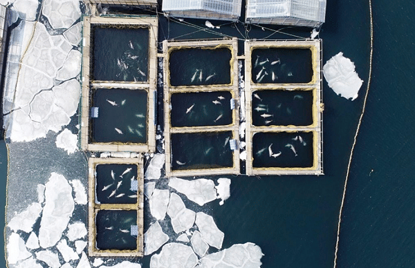 twitter.com/Thesunbest2