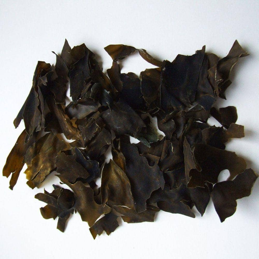 wildatlanticseagarden.com