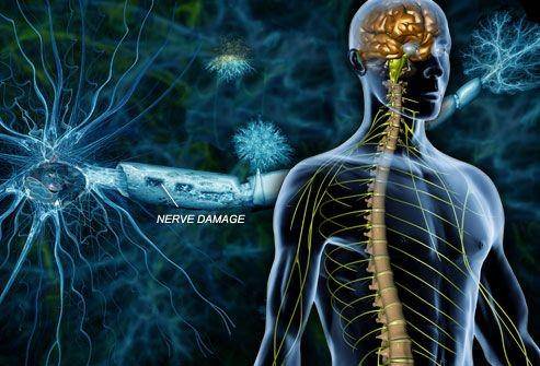 webmd.com