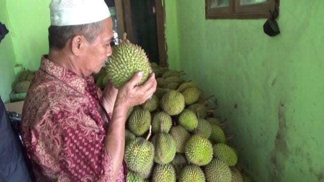 IDN Times/Andra Adyatama