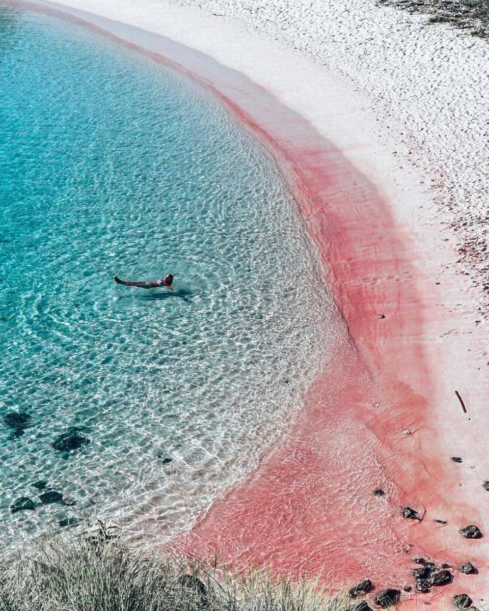 instagram.com/Iiivius