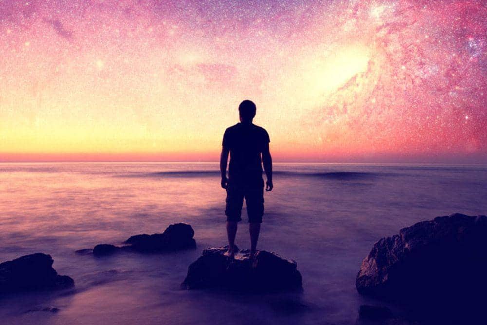 thelawofattraction.com