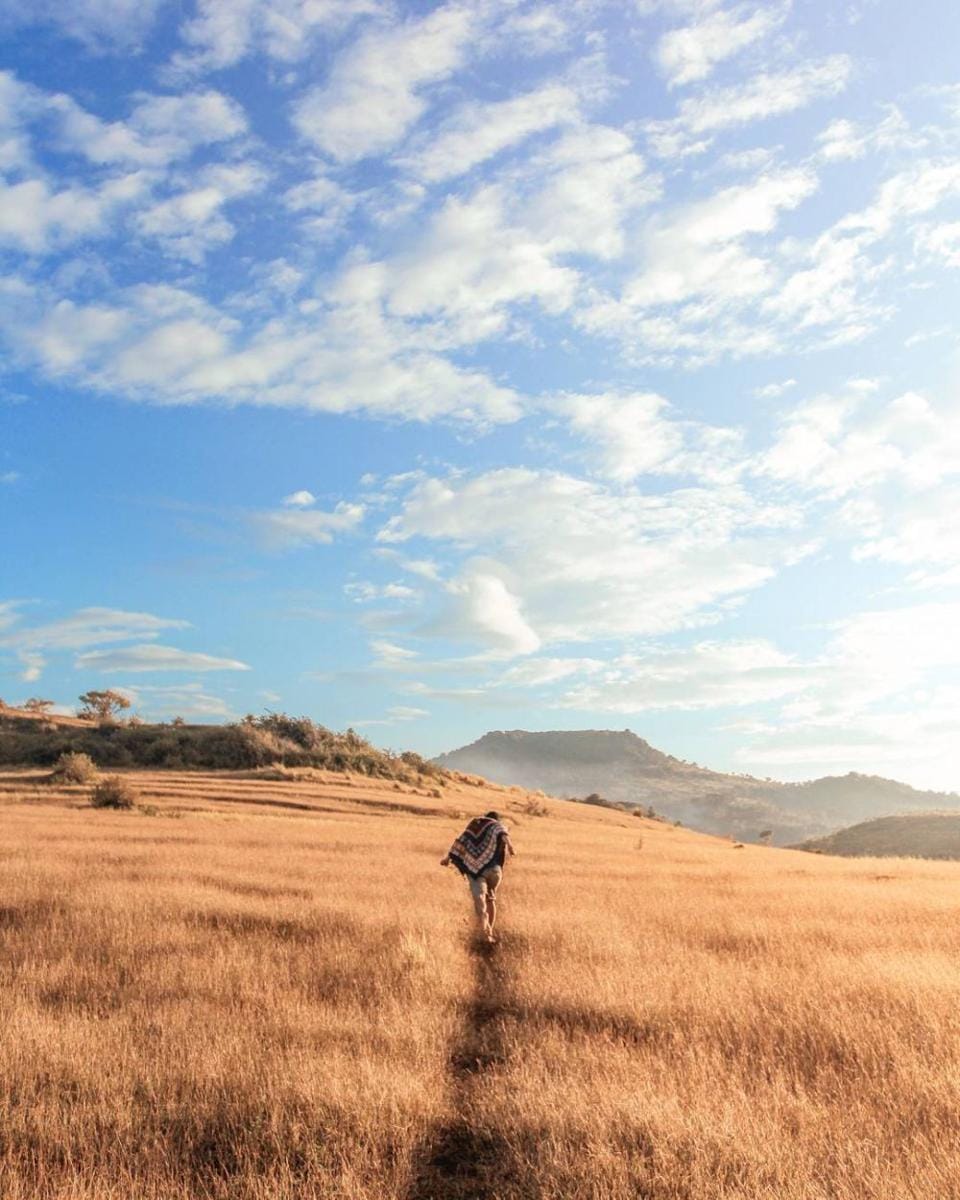 Instagram.com/herculesega