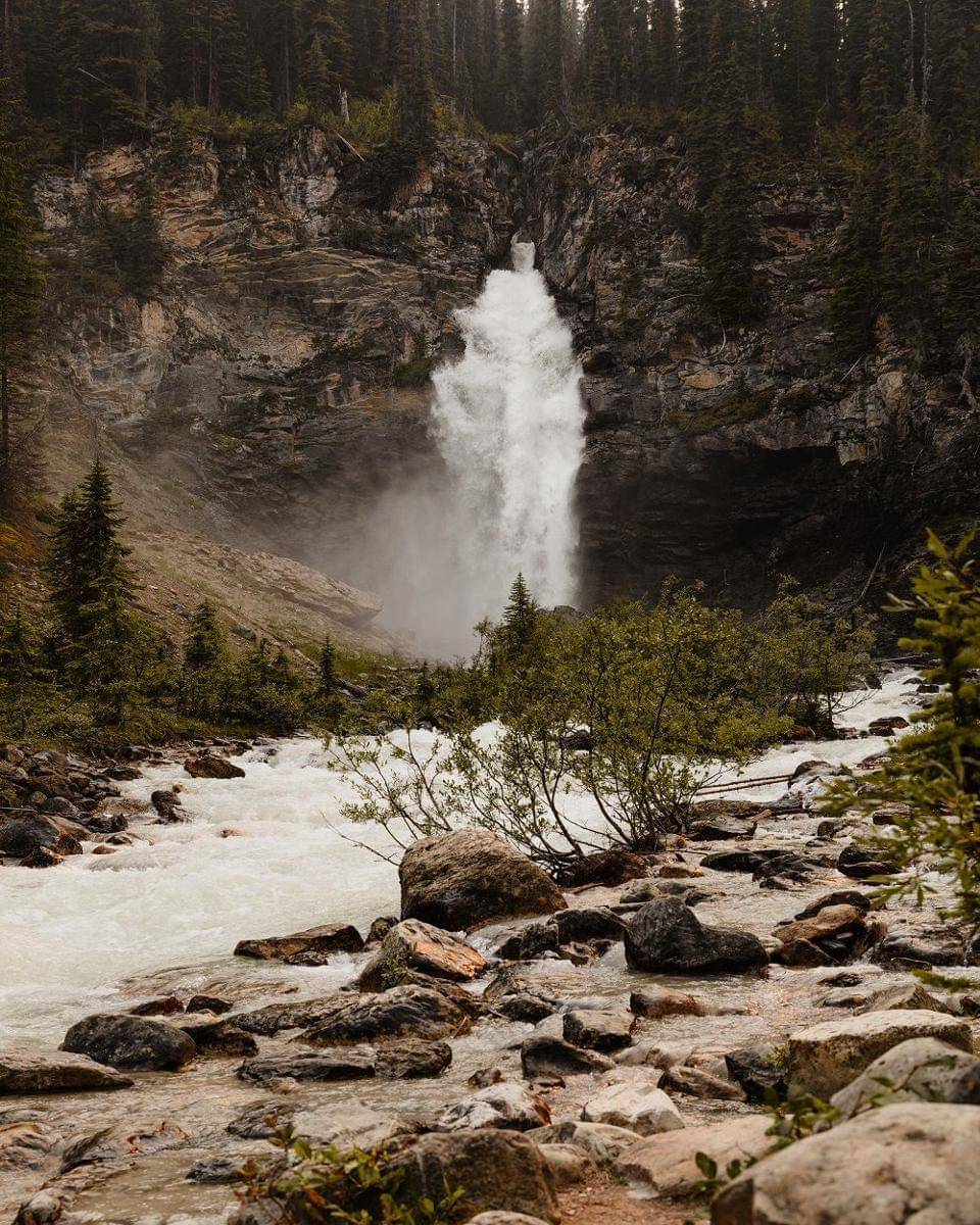 Unsplash/Alexandra Marcu