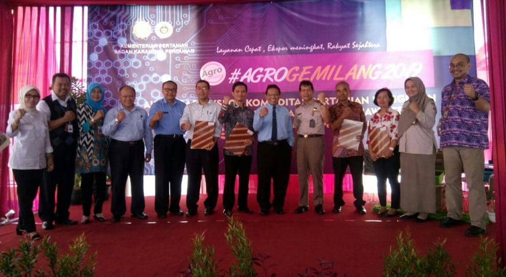 IDN Times/Daruwaskita