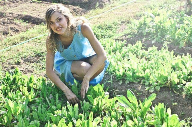 Pexels.com/Bruce Mars