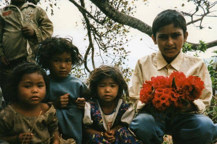 unsplash.com/Les Anderson