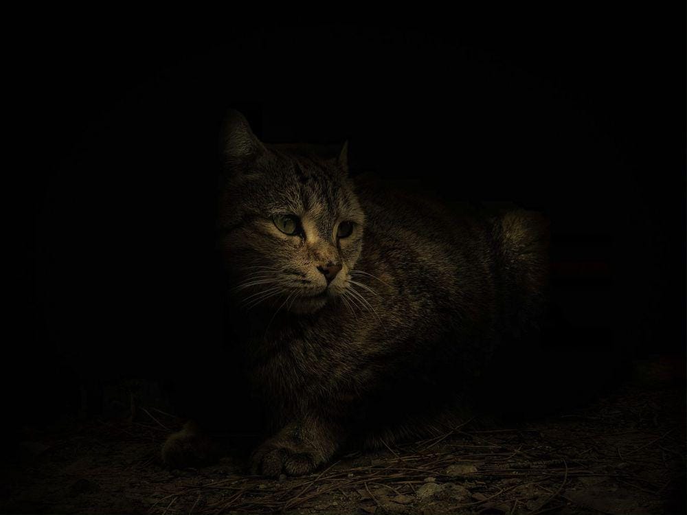 unsplash.com/Payam Tahery