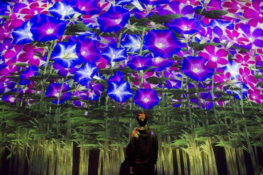 borderless.teamlab.art
