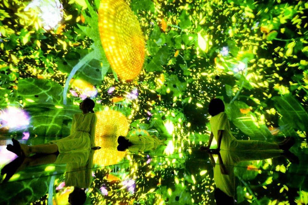 borderless.teamlab.art