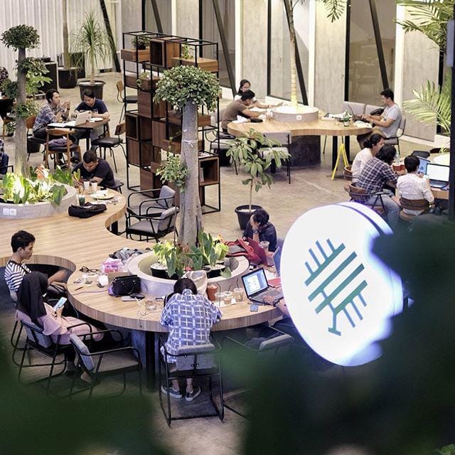 instagram.com/sinergi.co