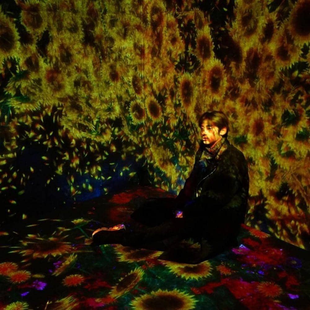 instagram.com/optimushwang