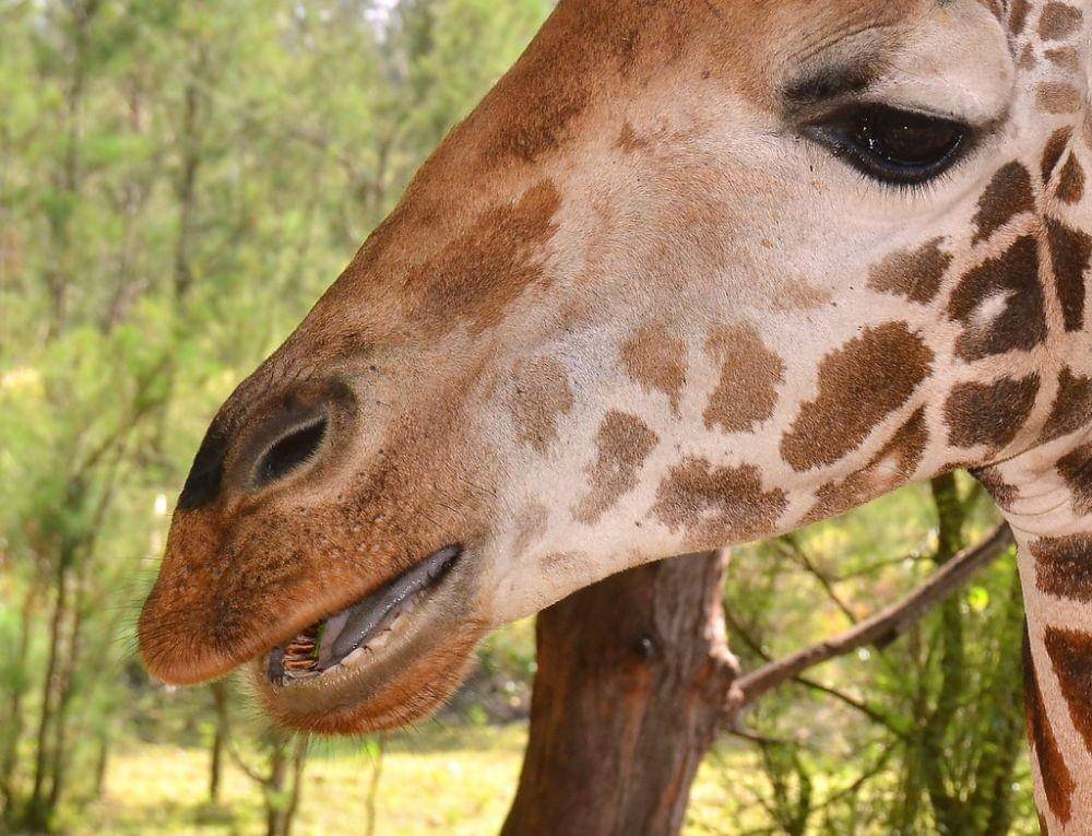 flickr.com/One more shot Rog