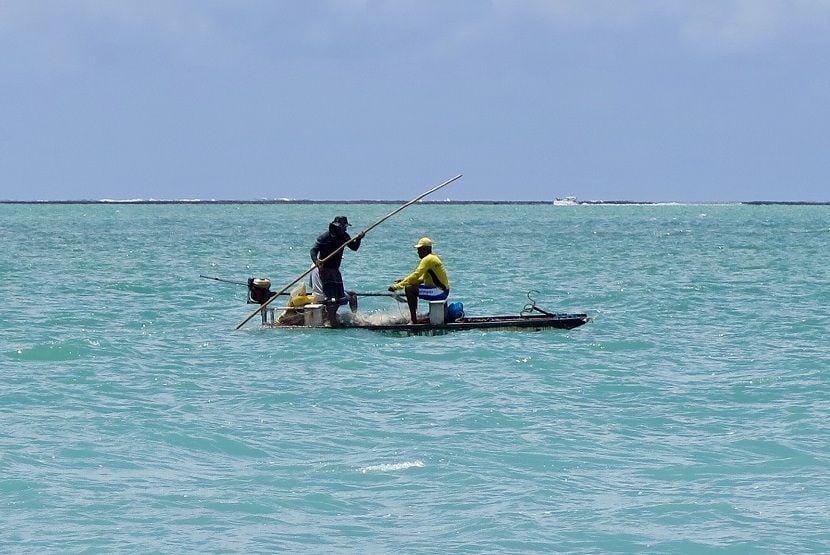 pixabay.com/luiz_rolim