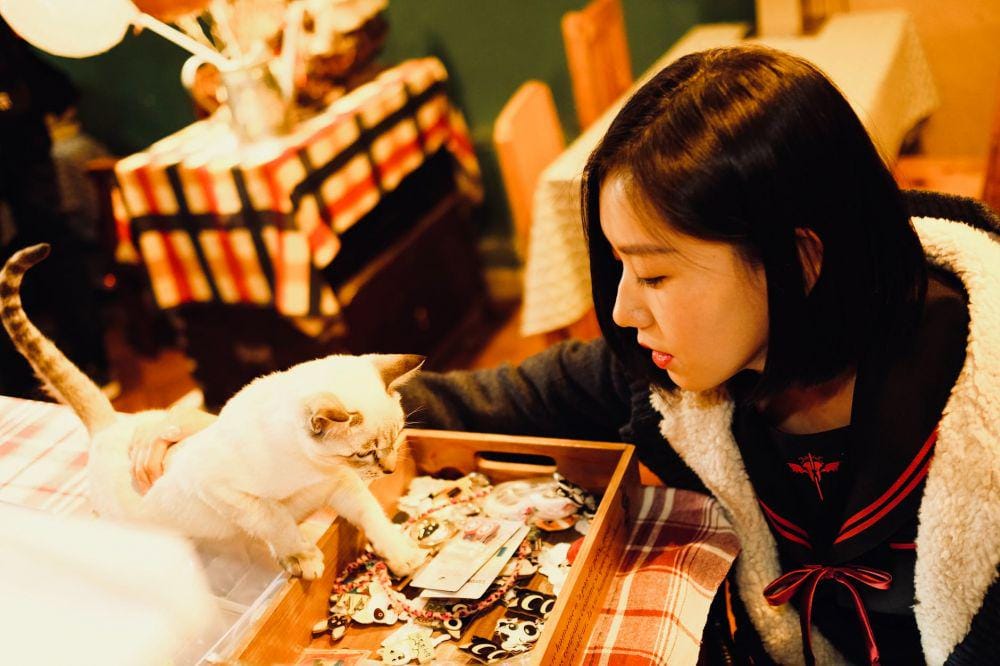 pexels.com/ 祝 鹤槐