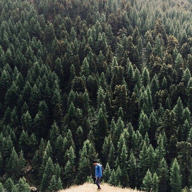 instagram.com/ifantri_jp