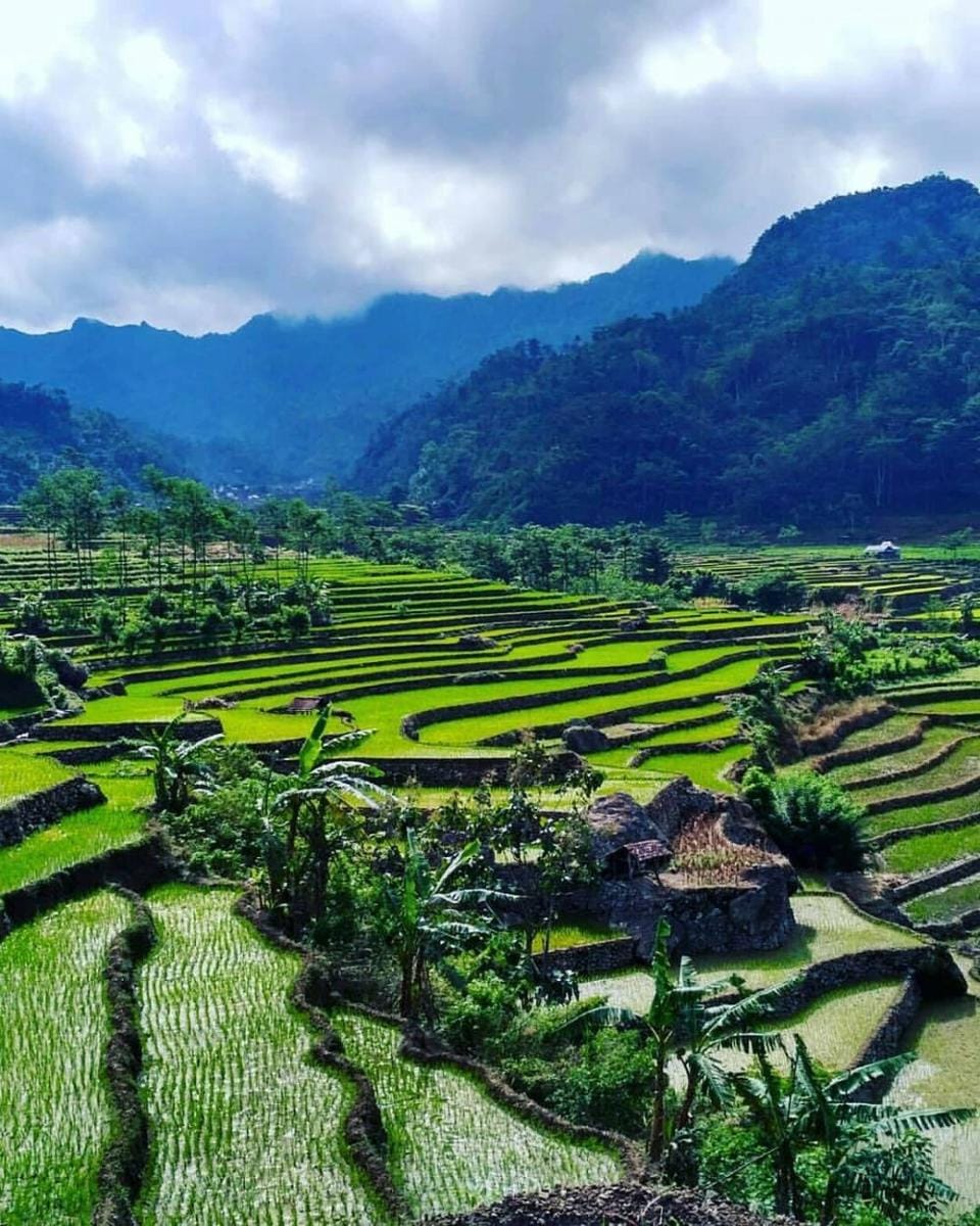 instagram.com/phirinz