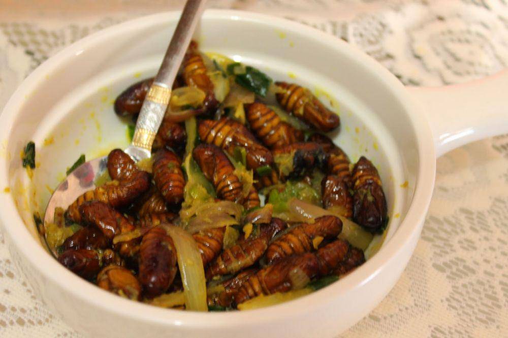 finelychopped.net