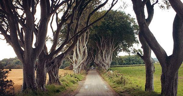 Dok. Pribadi/Nofinda Ghaisani