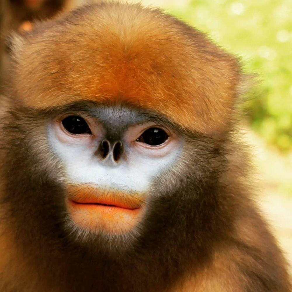 Instagram.com/tapleybenjamin