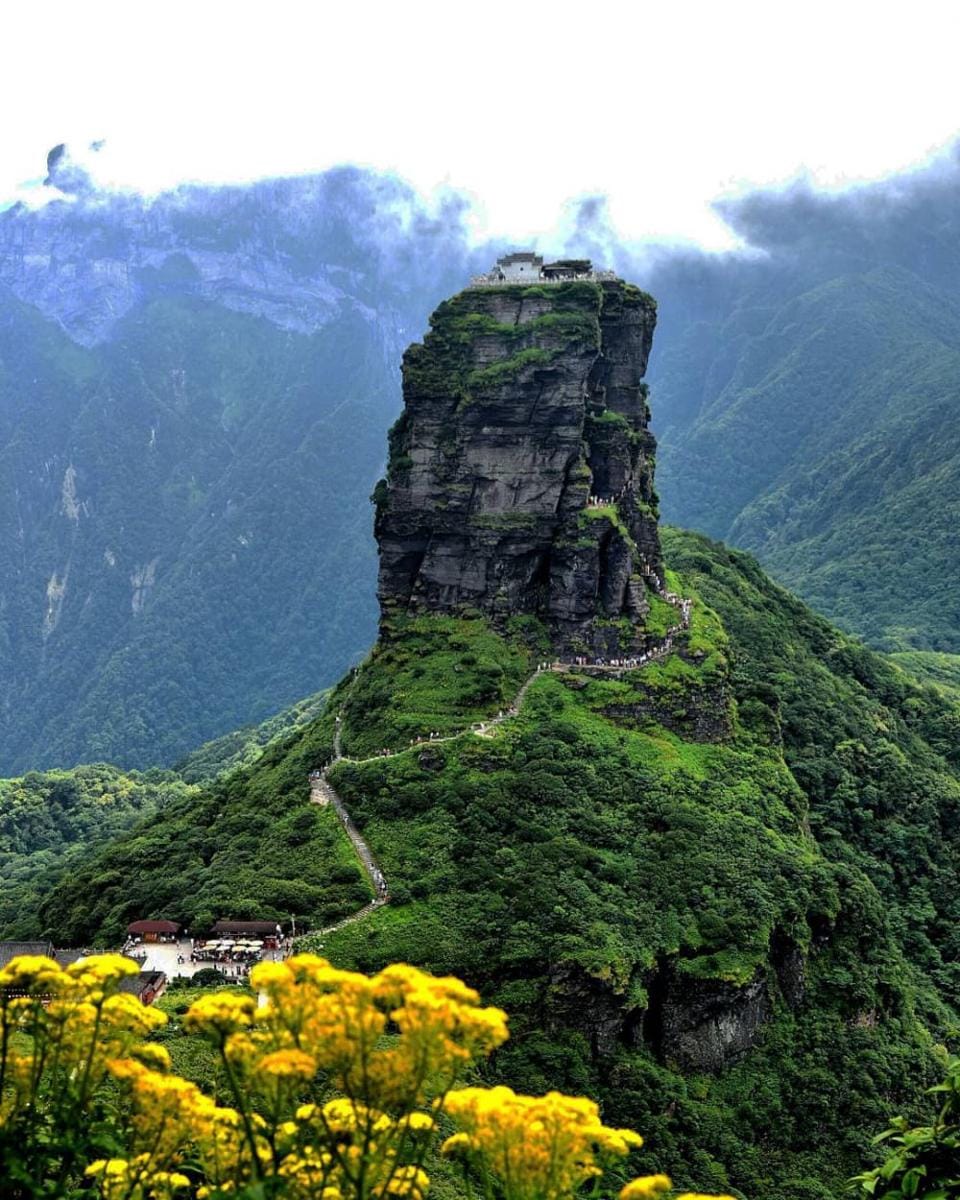 Instagram.com/yanjunwang826