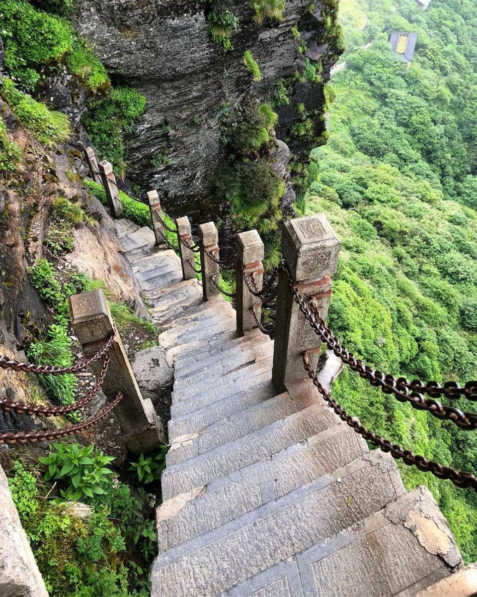 Instagram.com/acupofjasminetea