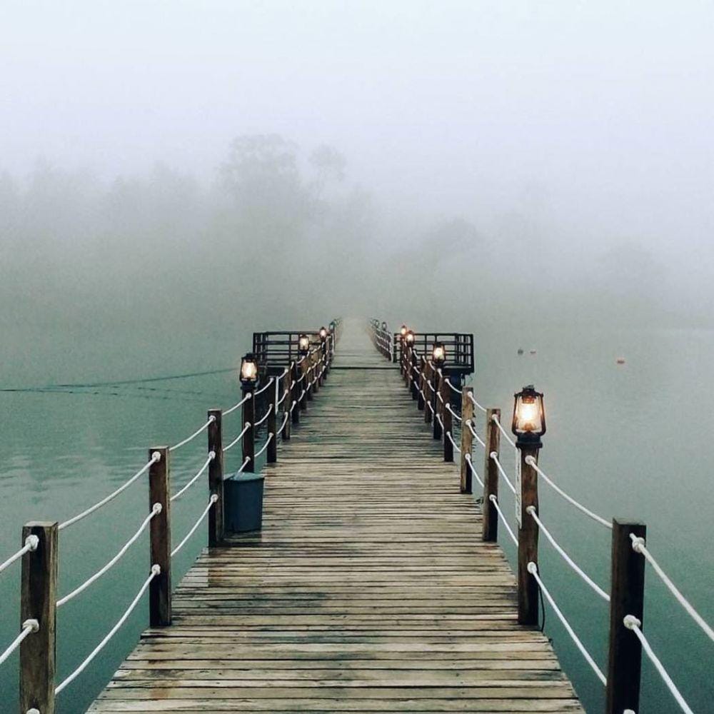 instagram.com/_zaliharis99