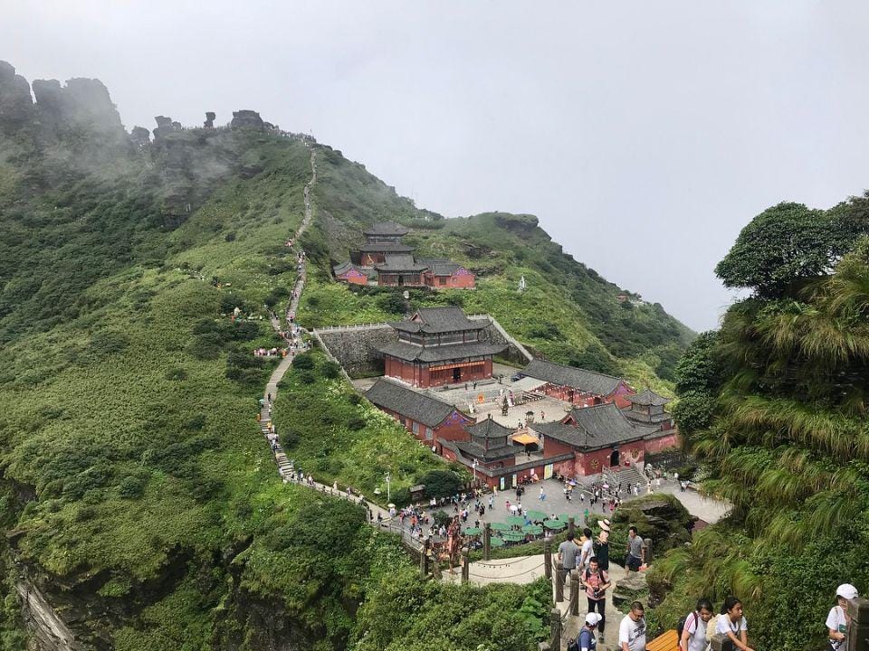 Instagram.com/papaya_muna