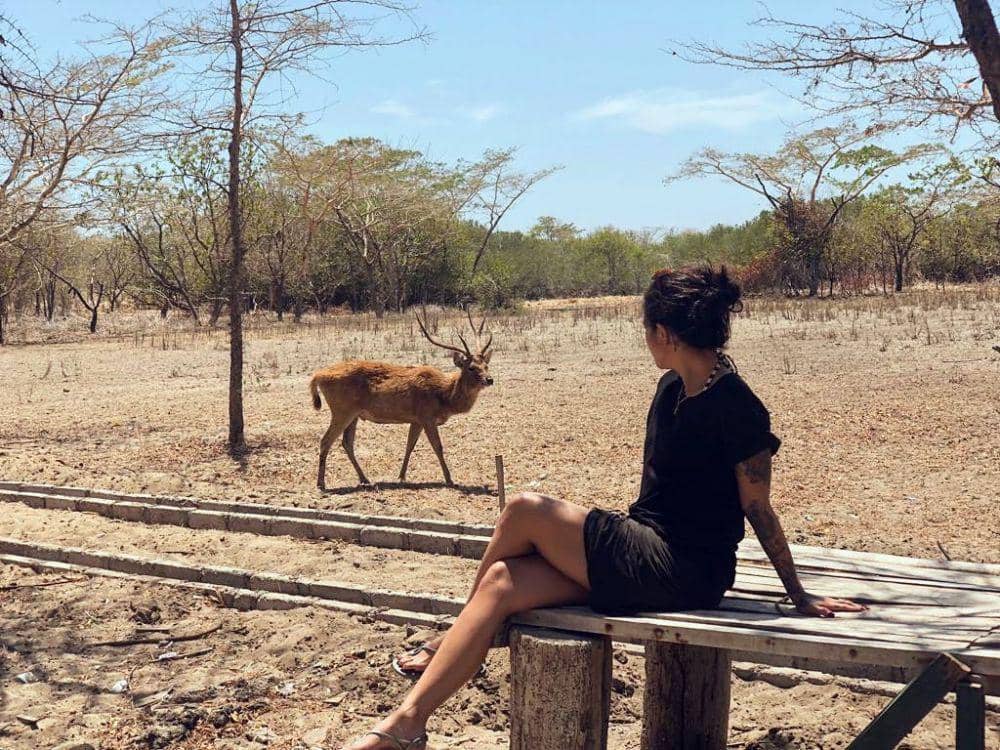 Instagram.com/itssheilamj