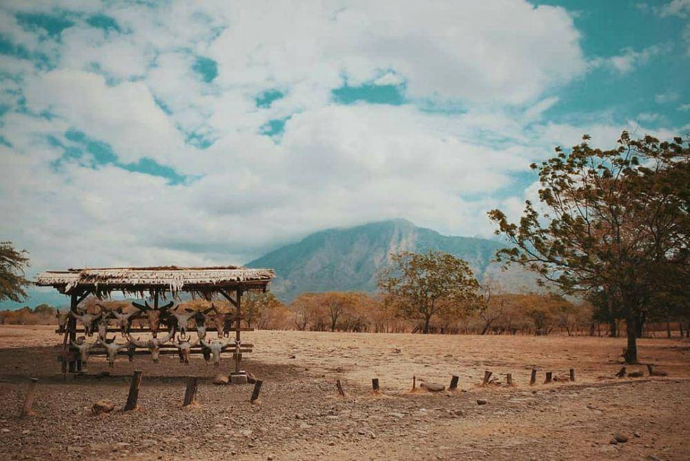 instagram.com/rengsitubondo