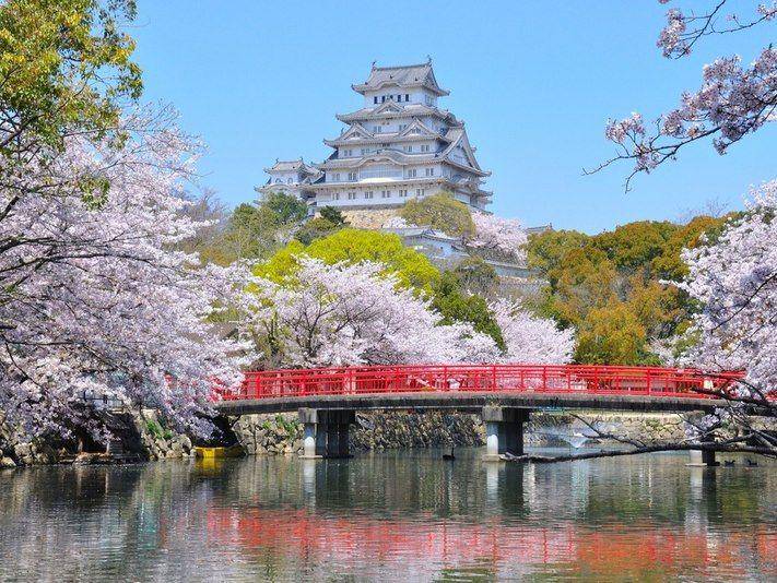 travel.rakuten.co.jp