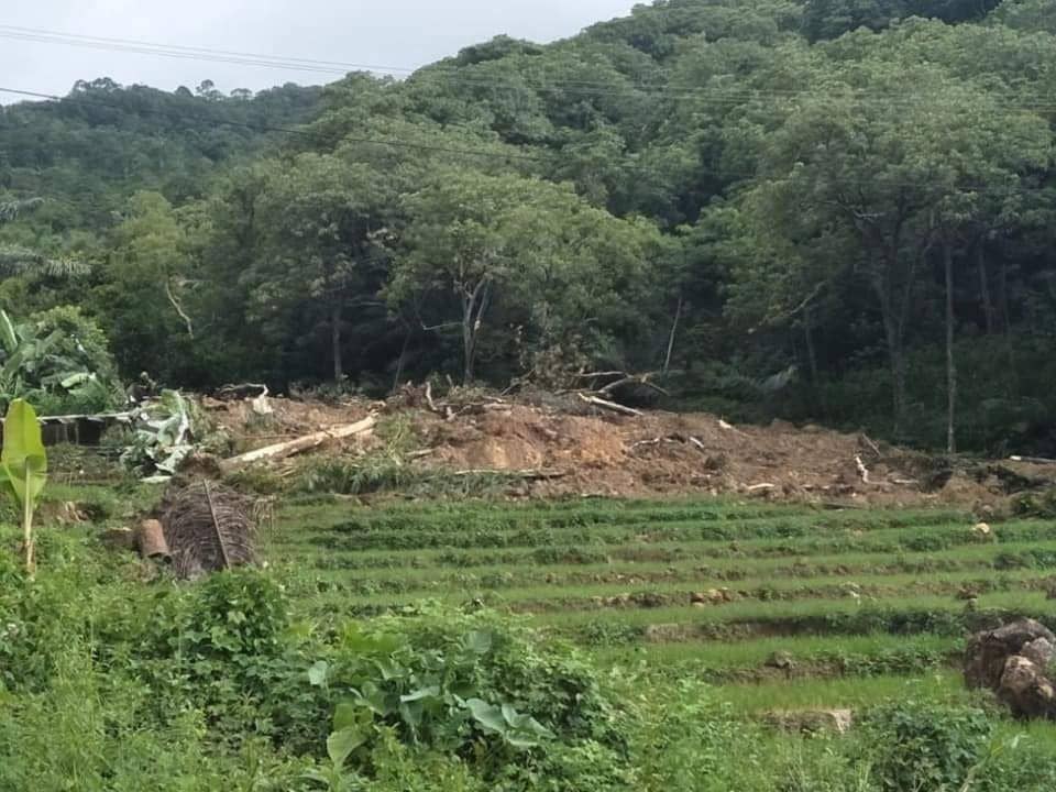 Dok.IDN Times/Istimewa