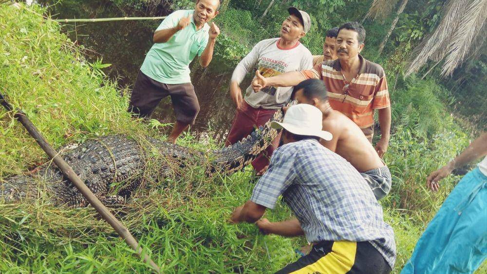 IDN Times/Hendra Simanjuntak