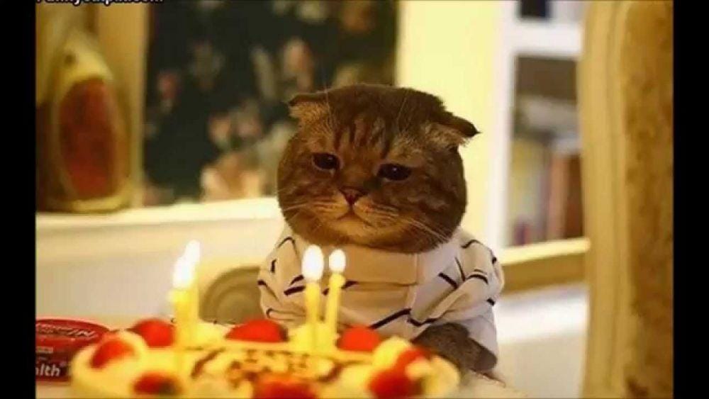 happybirthdayworld.net