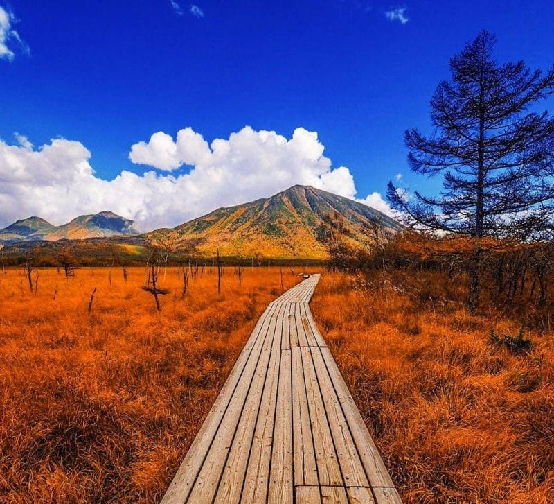 instagram.com/japanwaits