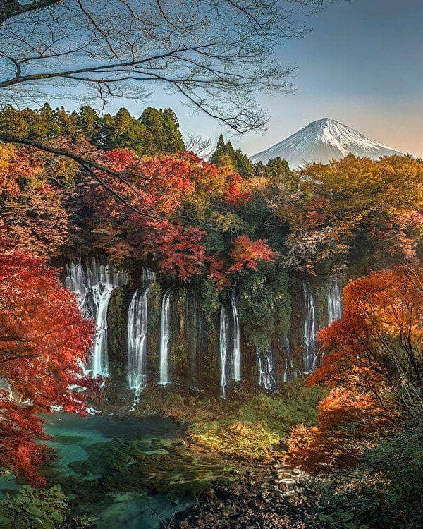 instagram.com/the_plague_doctor__