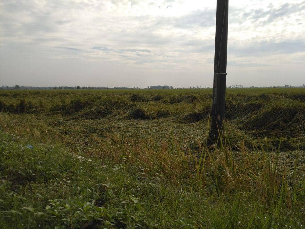 IDN Times/Andra Adyatama