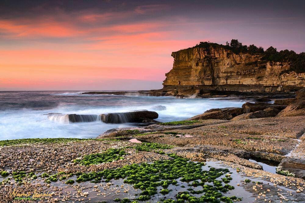 instagram.com/naomi.lessels